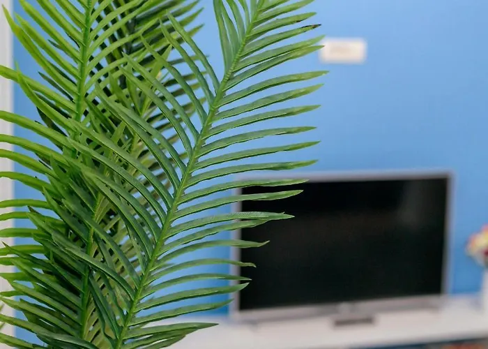 Apartamento Aquarium Economy 7 Năvodari